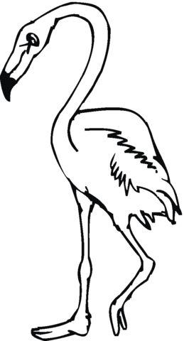 Flamingo Bird Coloring Page